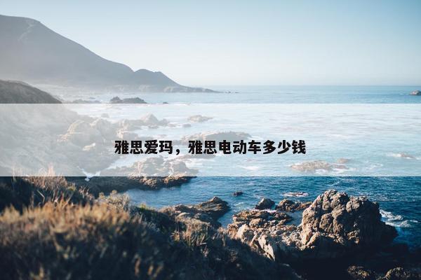 雅思爱玛，雅思电动车多少钱