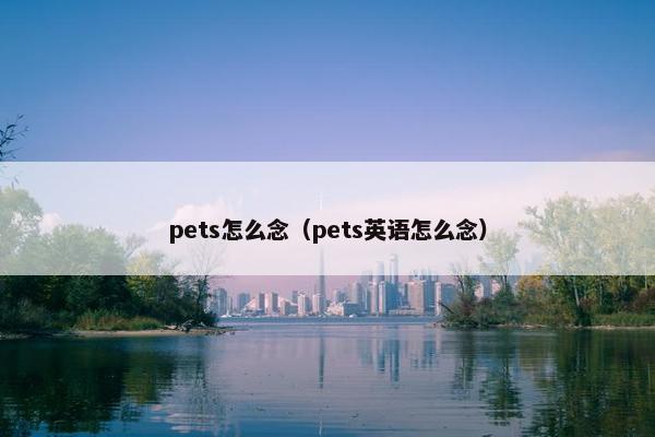 pets怎么念（pets英语怎么念）