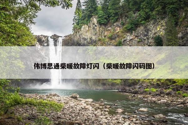 伟博思通柴暖故障灯闪（柴暖故障闪码图）