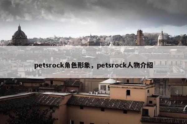 petsrock角色形象，petsrock人物介绍