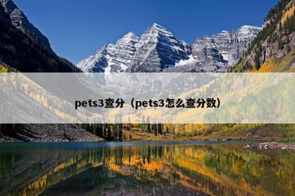 pets3查分（pets3怎么查分数）
