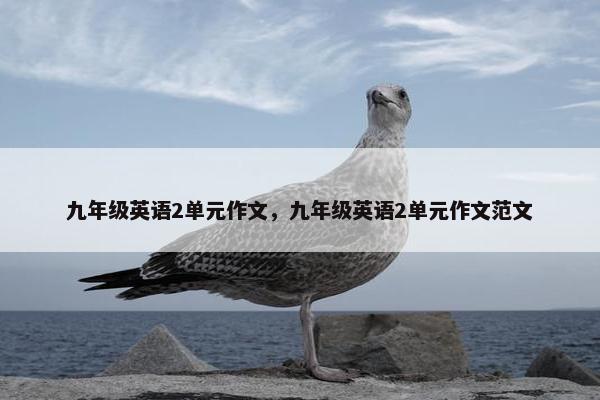 九年级英语2单元作文，九年级英语2单元作文范文