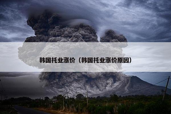 韩国托业涨价（韩国托业涨价原因）