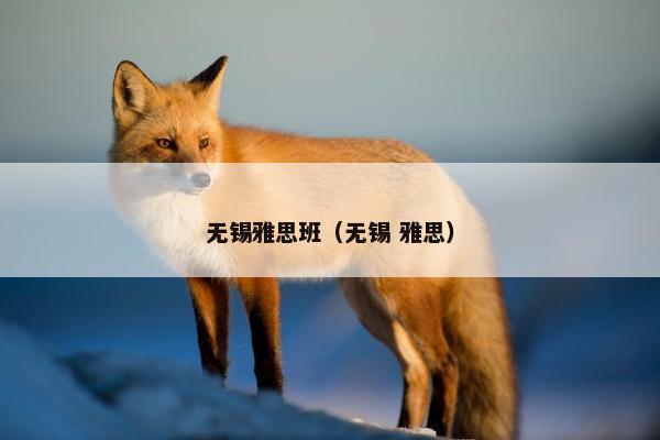 无锡雅思班（无锡 雅思）