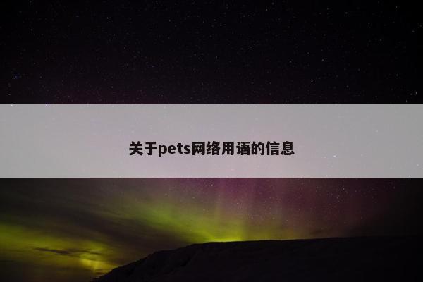 关于pets网络用语的信息
