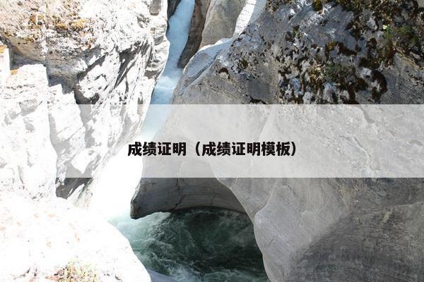 成绩证明（成绩证明模板）