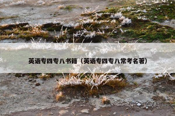 英语专四专八书籍（英语专四专八常考名著）