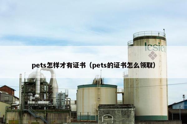 pets怎样才有证书（pets的证书怎么领取）