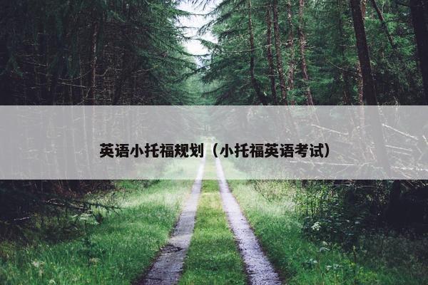 英语小托福规划（小托福英语考试）
