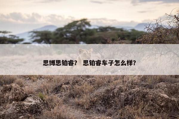 思博思铂睿？ 思铂睿车子怎么样？