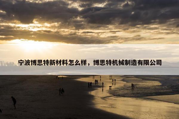 宁波博思特新材料怎么样，博思特机械制造有限公司