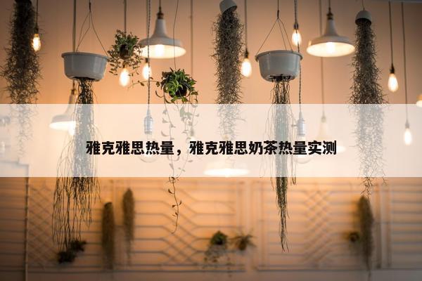 雅克雅思热量，雅克雅思奶茶热量实测