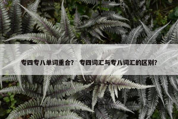 专四专八单词重合？ 专四词汇与专八词汇的区别？