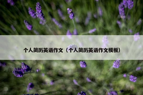 个人简历英语作文（个人简历英语作文模板）