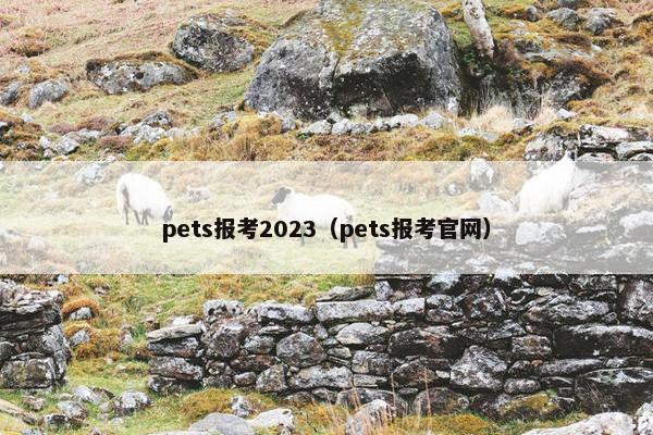 pets报考2023（pets报考官网）