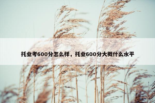 托业考600分怎么样，托业600分大概什么水平