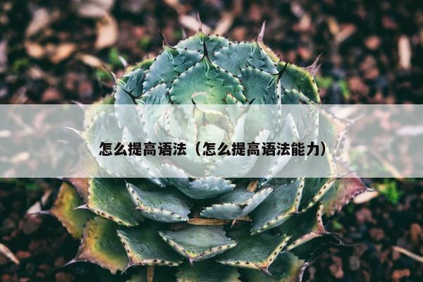 怎么提高语法（怎么提高语法能力）