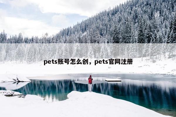 pets账号怎么创，pets官网注册
