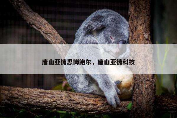 唐山亚捷思博鲍尔，唐山亚捷科技