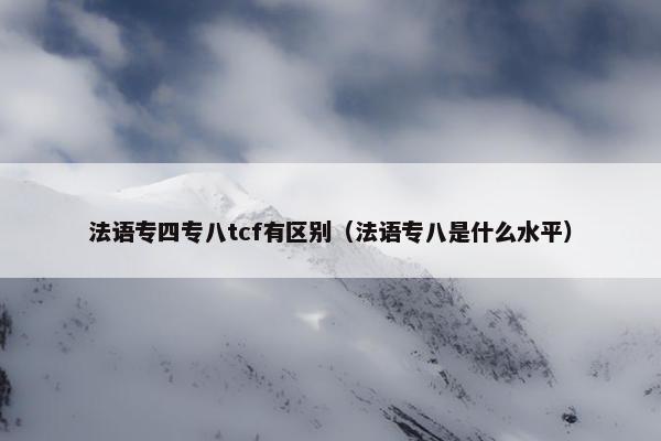 法语专四专八tcf有区别（法语专八是什么水平）
