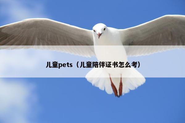 儿童pets（儿童陪伴证书怎么考）