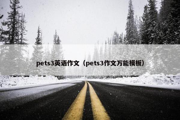 pets3英语作文（pets3作文万能模板）