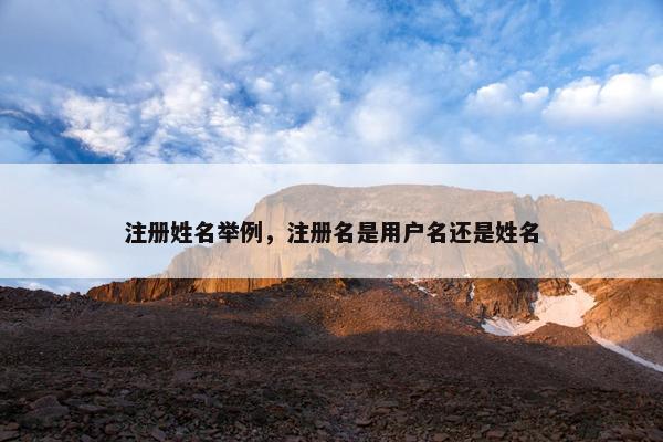 注册姓名举例，注册名是用户名还是姓名