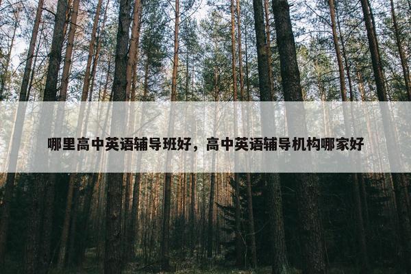 哪里高中英语辅导班好，高中英语辅导机构哪家好