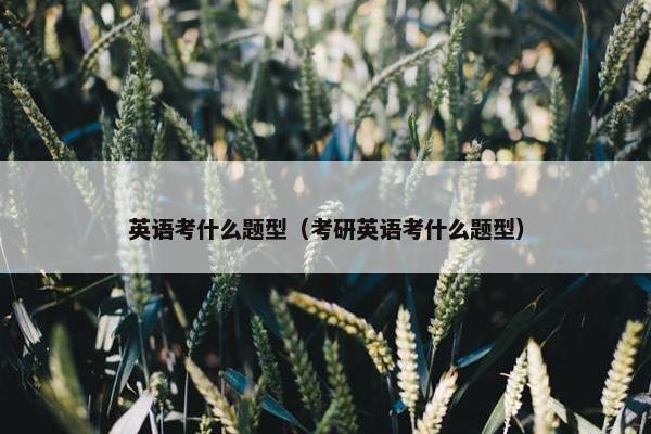 英语考什么题型（考研英语考什么题型）