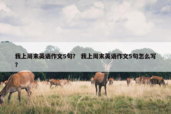 我上周末英语作文5句？ 我上周末英语作文5句怎么写？