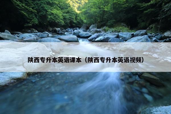 陕西专升本英语课本（陕西专升本英语视频）