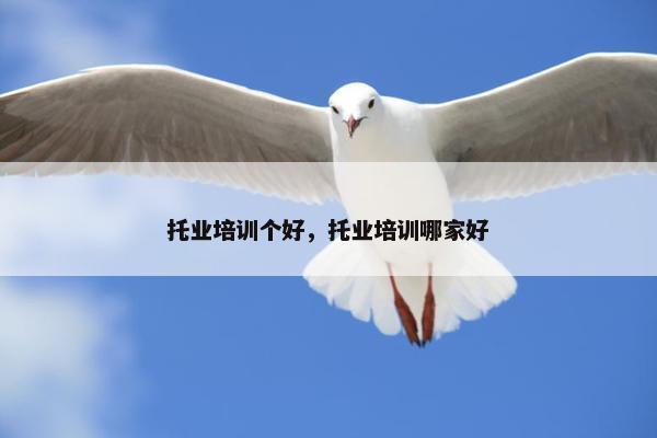 托业培训个好，托业培训哪家好