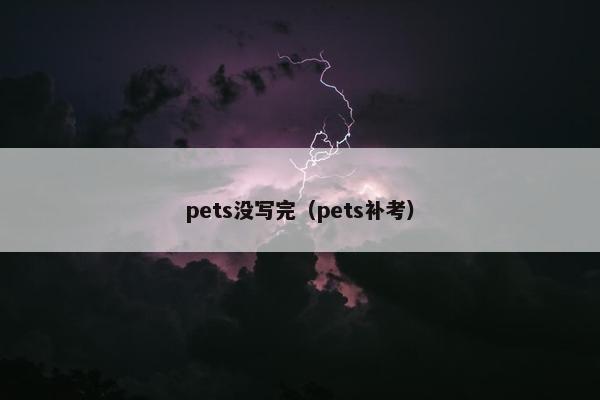 pets没写完（pets补考）