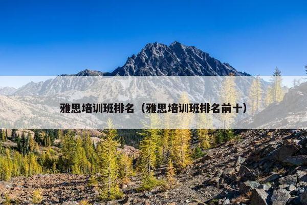 雅思培训班排名（雅思培训班排名前十）