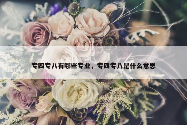 专四专八有哪些专业，专四专八是什么意思