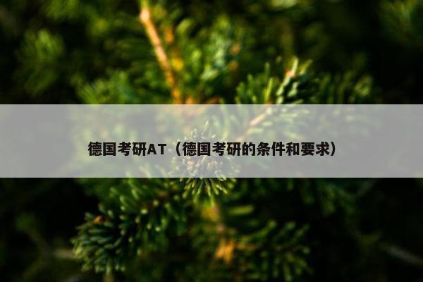 德国考研AT（德国考研的条件和要求）