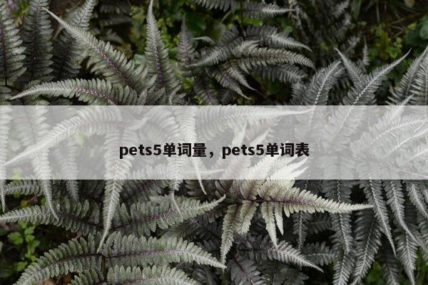 pets5单词量，pets5单词表