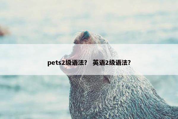 pets2级语法？ 英语2级语法？