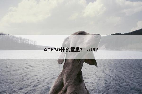 AT630什么意思？ at6？