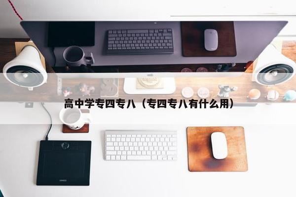 高中学专四专八（专四专八有什么用）