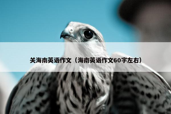 关海南英语作文（海南英语作文60字左右）