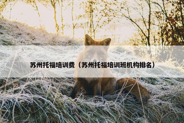 苏州托福培训费（苏州托福培训班机构排名）