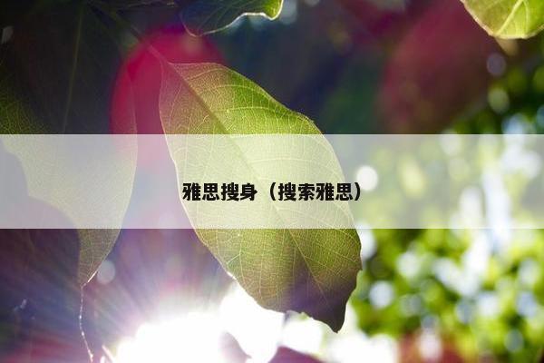 雅思搜身（搜索雅思）