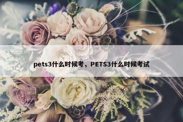 pets3什么时候考，PETS3什么时候考试