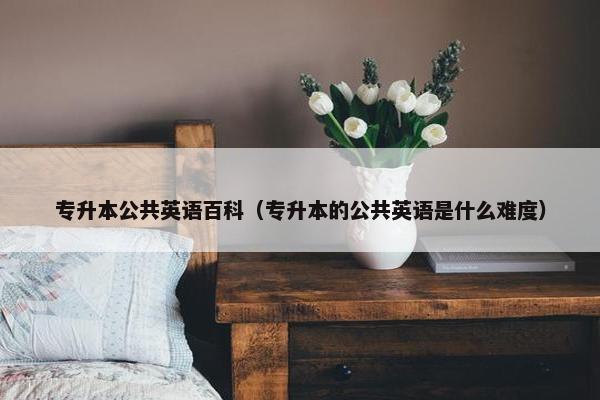 专升本公共英语百科（专升本的公共英语是什么难度）