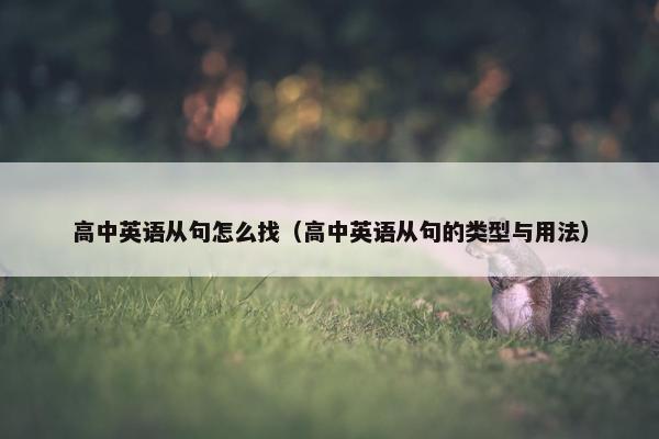 高中英语从句怎么找（高中英语从句的类型与用法）