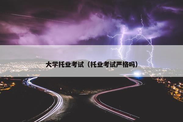 大学托业考试（托业考试严格吗）