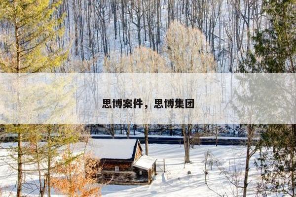 思博案件，思博集团