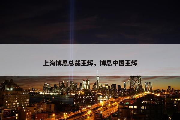 上海博思总裁王辉，博思中国王辉