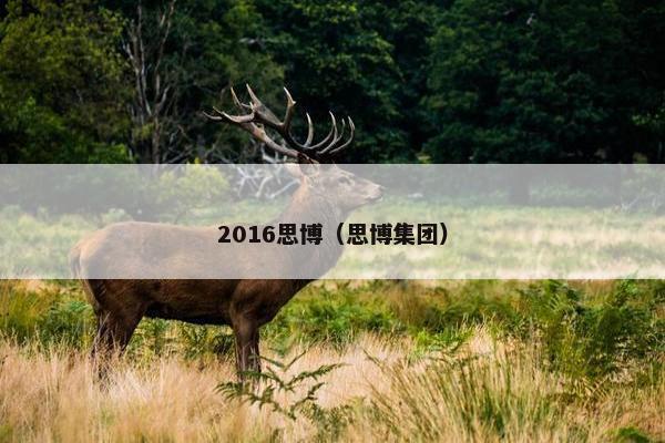 2016思博（思博集团）